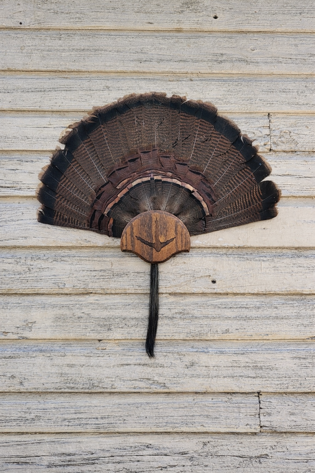 Turkey Fan Plaque